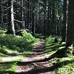 Scenic Cabin, 30 Mins From Airport Шале *