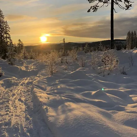 Scenic Cabin, 30 Mins From Airport Chalet