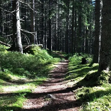 Scenic Cabin, 30 Mins From Airport Alpehytte *
